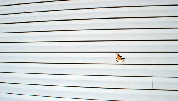 Best Composite Siding  in Bismarck, ND